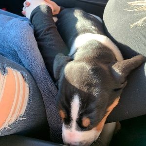 Meet your Posher, John